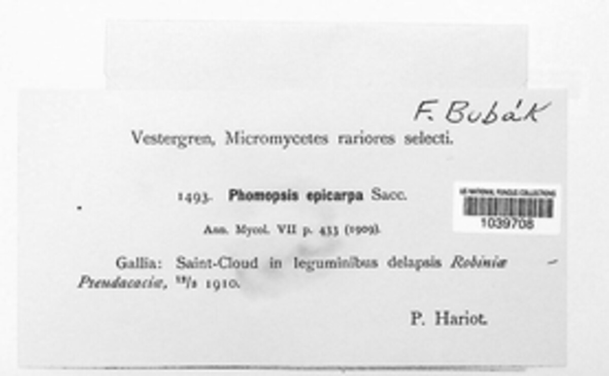 Phomopsis epicarpa image